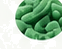 Bifidobacterium infantis ingredient