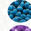 Clostridium butyricum ingredient